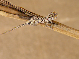 2006-01-07_092150.jpg