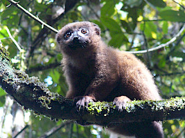 2006-02-04_064016.jpg
