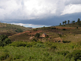 2006-06-24_130500.jpg