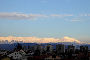 2019-02-24_072312mt.jpg