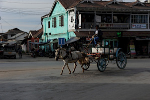 2011-12-23_153453_1.jpg