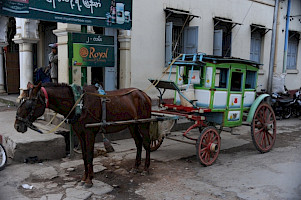2011-12-23_161947_1.jpg