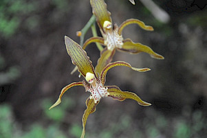 2011-12-25_140949_1.jpg