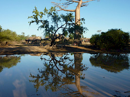 2010-05-29_074027.jpg
