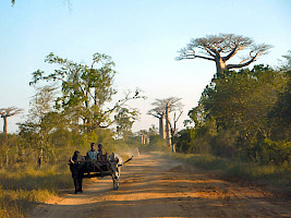 2010-05-31_163526.jpg