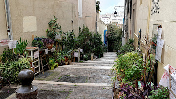 20250311_150218c-1.jpg